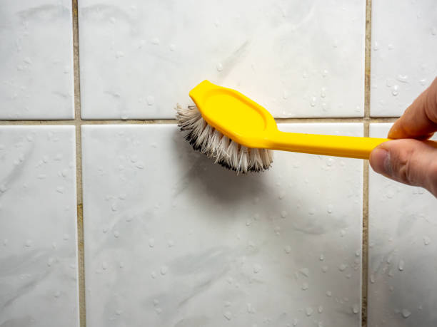 Best Commercial Mold Removal  in Ravenswood, WV