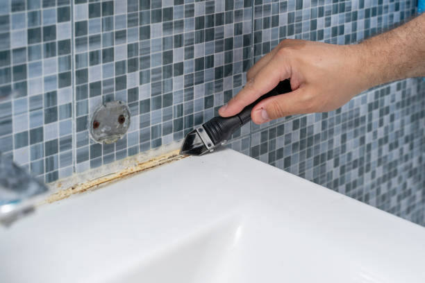 Best Mold Removal Process  in Ravenswood, WV
